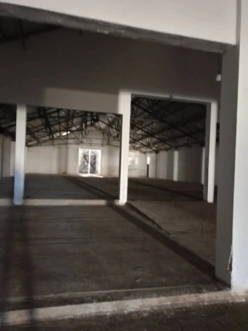 Location Hangar - Usine Blida Blida