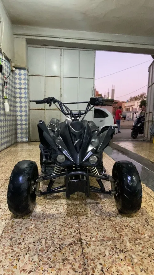 Okinoi Omg 2019