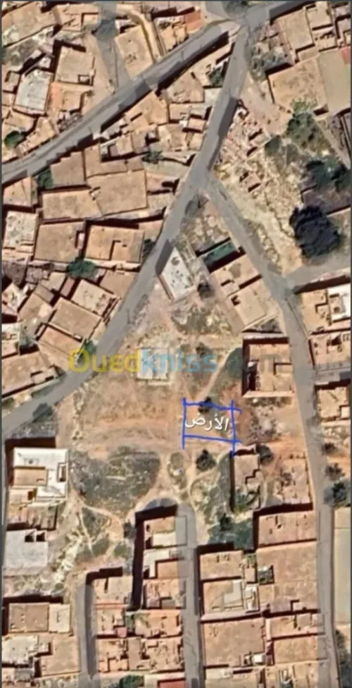 Vente Terrain Tlemcen Tlemcen