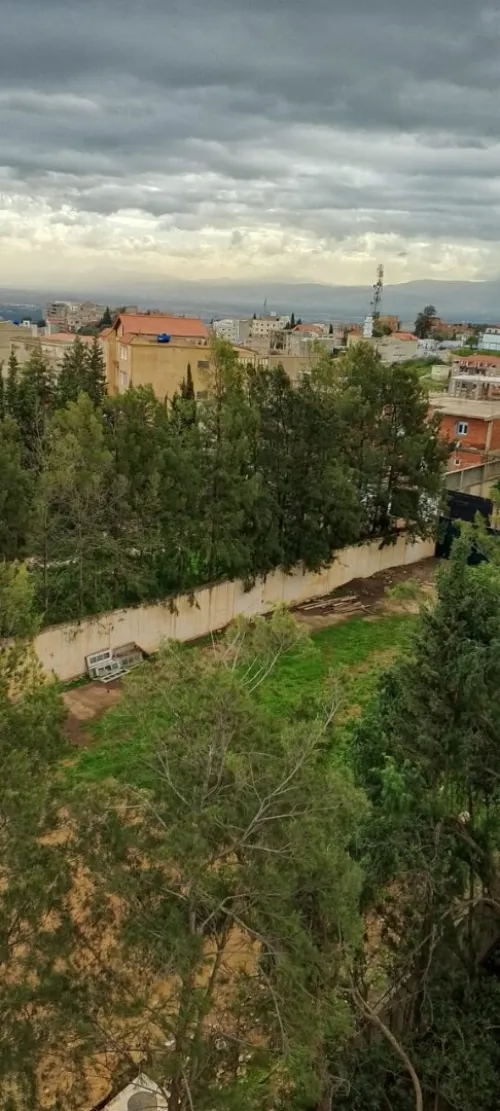 Vente Terrain Alger Saoula
