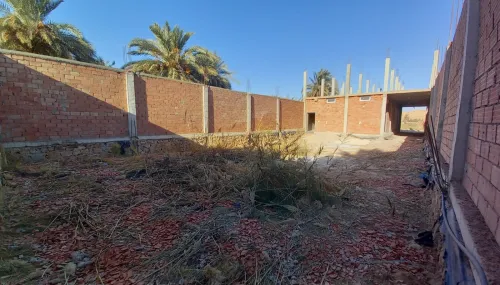 Location Local El Menia El Meniaa