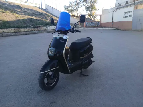 Estat Vms 2023