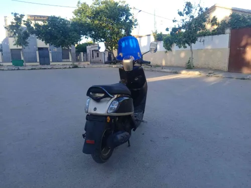 Estat Vms 2023