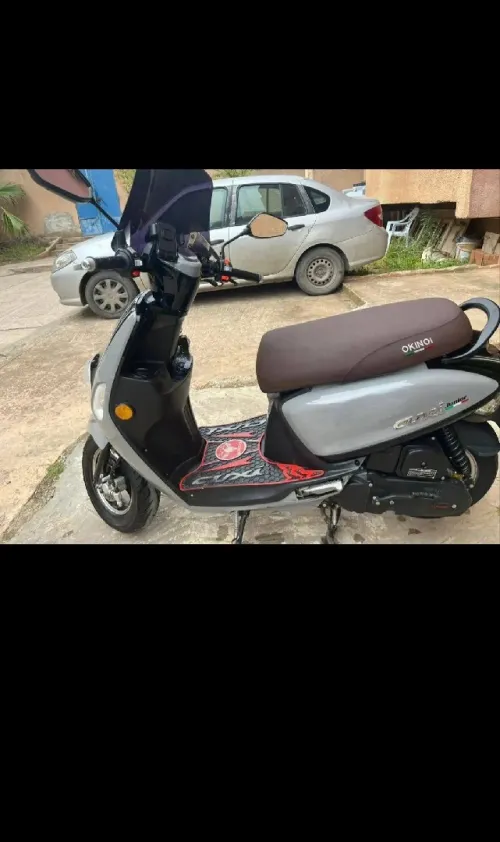 Cuxi okinoi Okinoi 2025