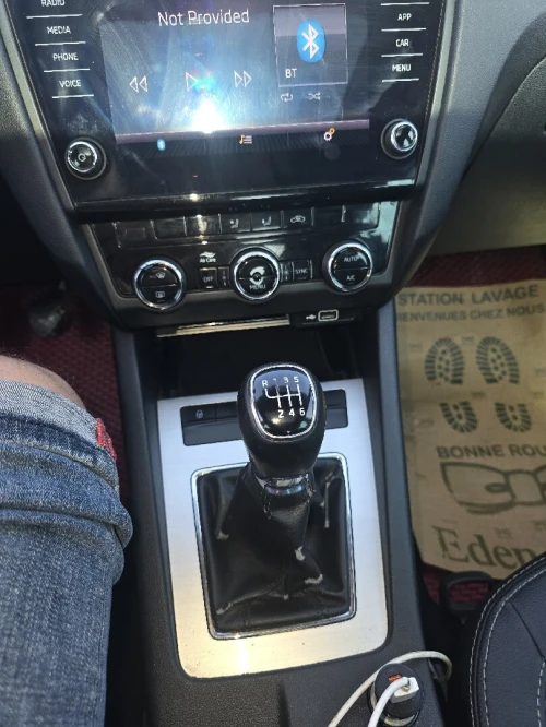 Skoda Octavia 2019 Clever