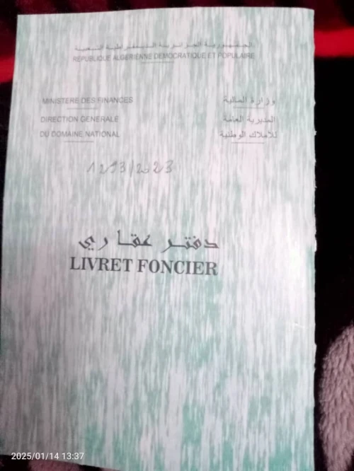 Vente Tlemcen Tlemcen