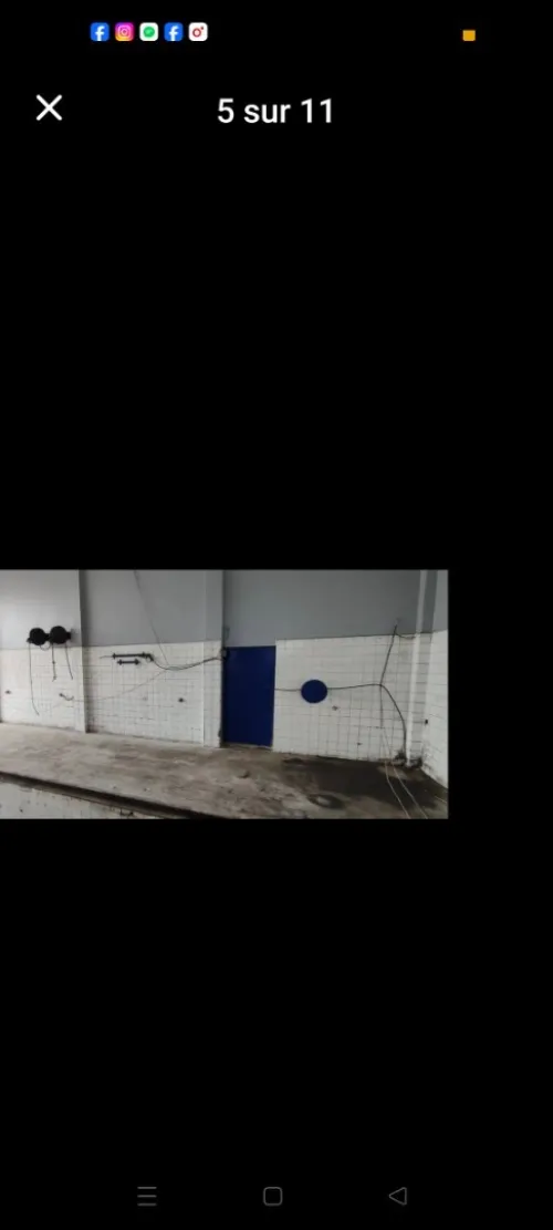 Location bien immobilier Guelma Nechmaya