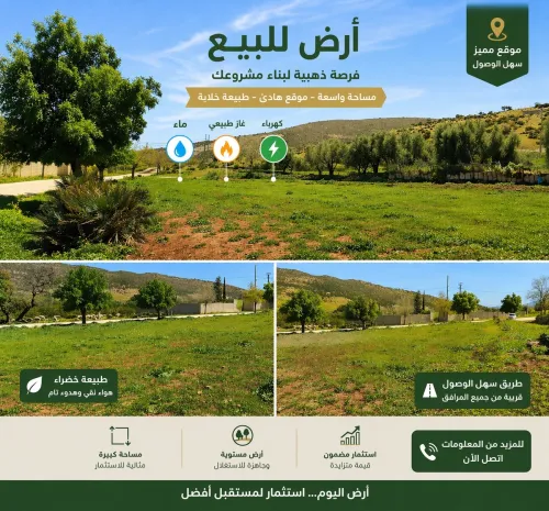 Vente Terrain Agricole Tlemcen Ain fezza