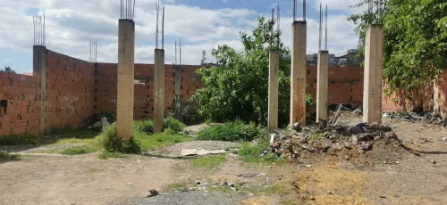 Vente Terrain Tipaza Attatba