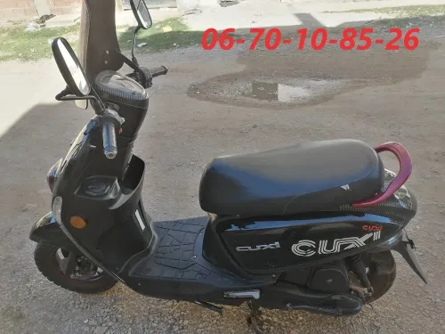 Cuxi Cuxi 2 2022