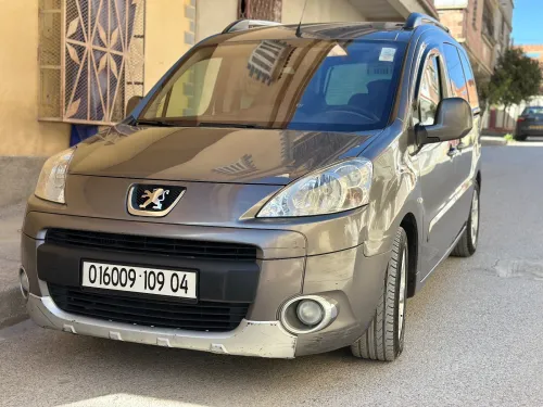 Peugeot Partner 2009 Tepee