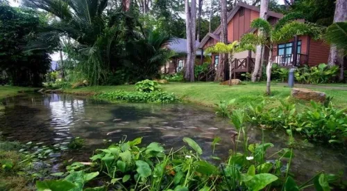 Voyage Organisé en Malaisie