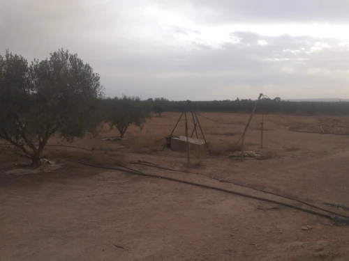 Vente Terrain Agricole Sidi Bel Abbès Sidi khaled