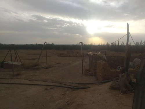Vente Terrain Agricole Sidi Bel Abbès Sidi khaled