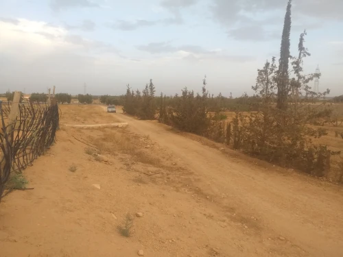 Vente Terrain Agricole Sidi Bel Abbès Sidi khaled
