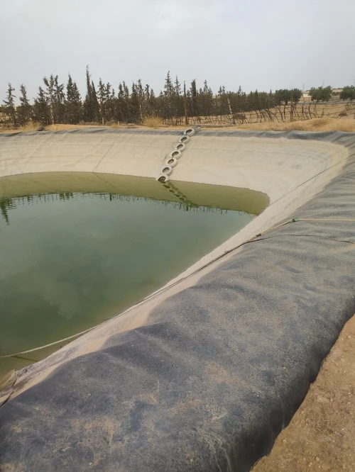 Vente Terrain Agricole Sidi Bel Abbès Sidi khaled
