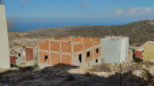 Vente Terrain Tlemcen Marsa ben mhidi