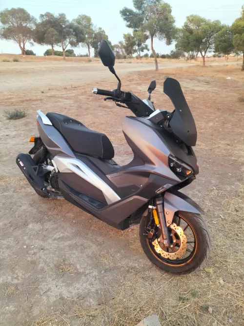 VMS V MAX 2024