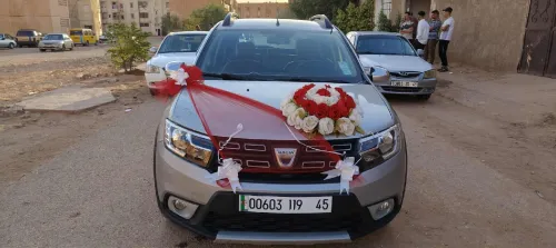 Dacia Stepway 2019 Techroad