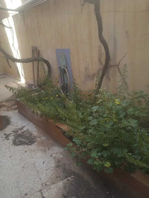 Vente Villa Sidi Bel Abbès Sidi bel abbes