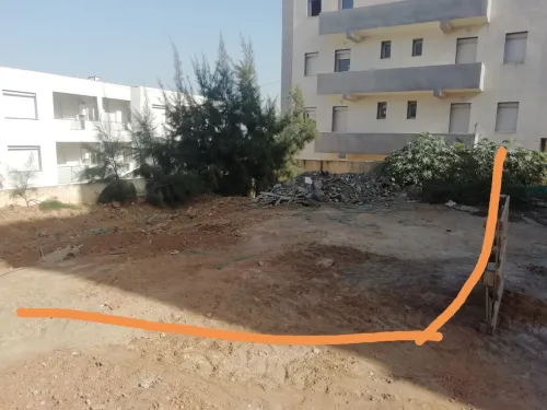 Vente Terrain Tipaza Bou ismail