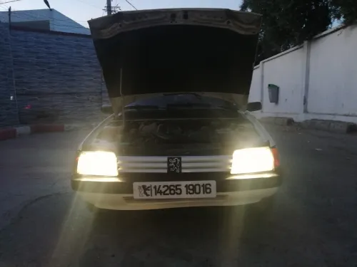 Peugeot 205 1990 205