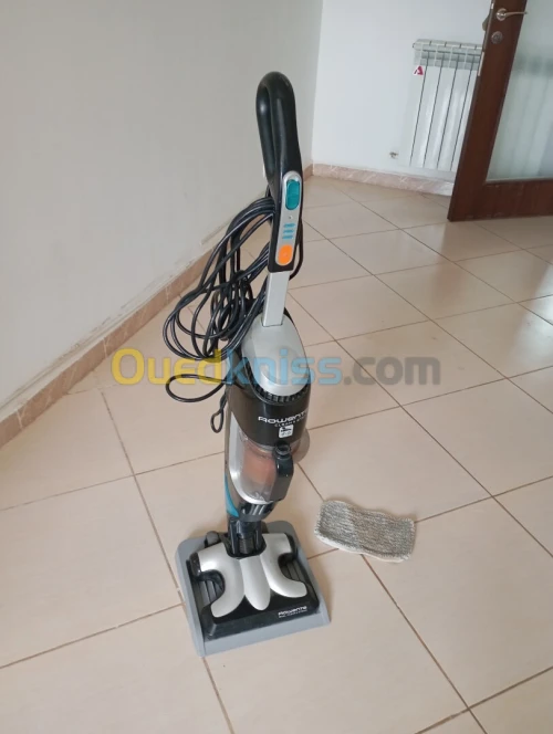 Aspirateur Balai Rowenta 