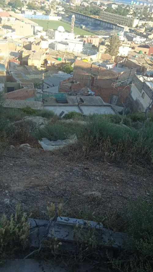 Vente Terrain Oran Arzew