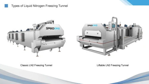 TUNNELS DE SURGELATION + BLAST FREEZING TECHNOLOGY+ SYSTEME DE DECONGELATION