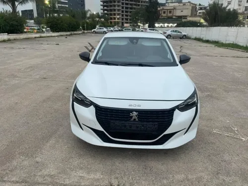 Peugeot 208 2022 Fluck