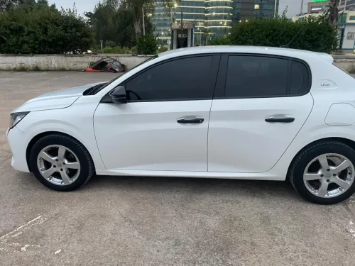 Peugeot 208 2022 Fluck