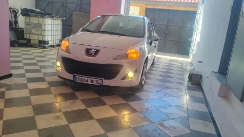 Peugeot 207 2012 Fennec