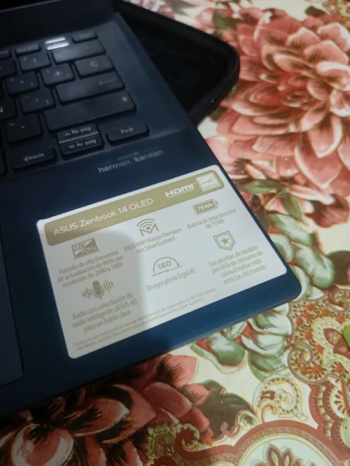 Asus zenbook 14 oled i9 13eme generation