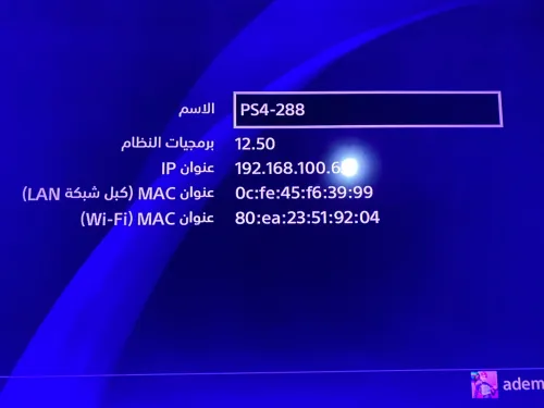 PS4 fat