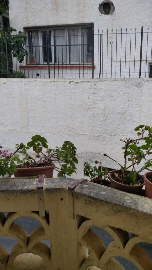 Vente Appartement F3 Alger Alger centre