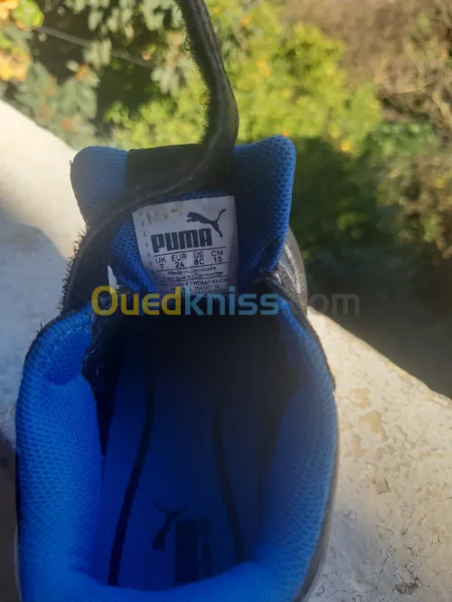 Basket Puma P24 Original
