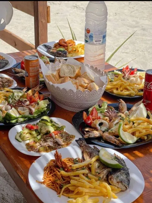 Voyage organisé Tunisie Hammamet par bus 07 jours/06 nuits hotel 03 etoile à partir de44990 dzd 