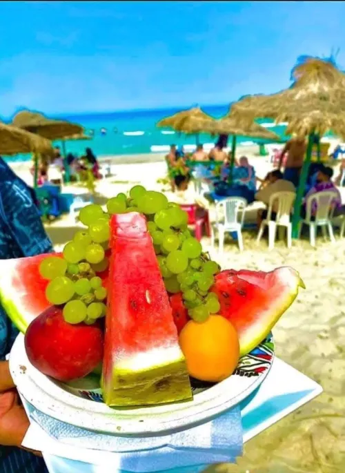 Voyage organisé Tunisie Hammamet par bus 07 jours/06 nuits hotel 03 etoile à partir de44990 dzd 