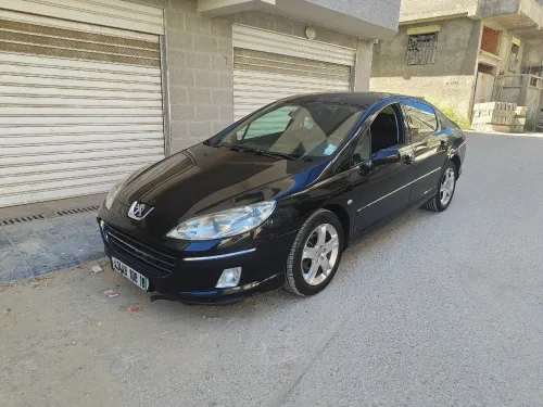 Peugeot 407 2008 407