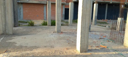 Vente Terrain Blida Chebli