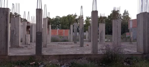 Vente Terrain Blida Chebli
