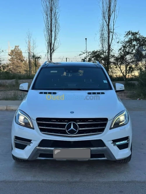 Mercedes ML 2014 ML