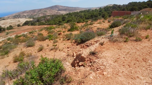 Vente Terrain Aïn Témouchent Oulhaca el gheraba