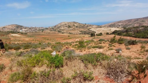Vente Terrain Aïn Témouchent Oulhaca el gheraba