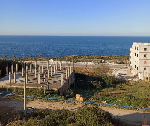 Vente Villa El Tarf El kala