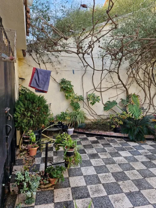 Vente Villa Alger Hraoua