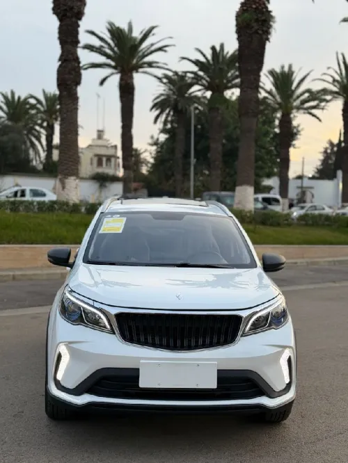 Livan X3 Pro  2025 X3 pro