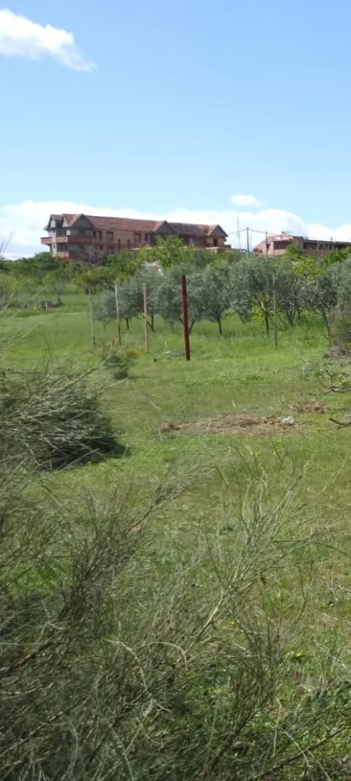 Vente Terrain Bouira Saharidj