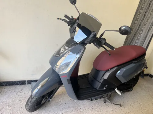 Vms Gemma 2025