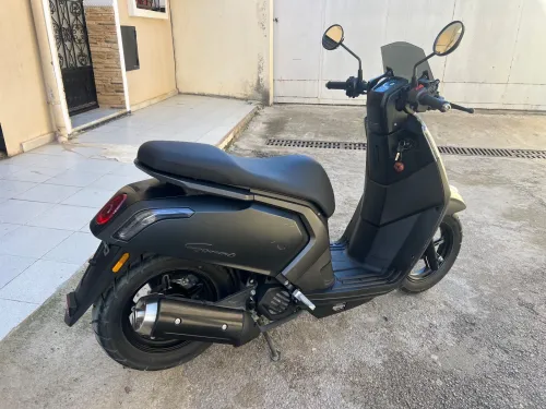 Vms Gemma 2025